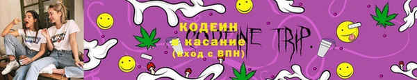 СК Аркадак
