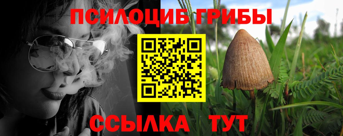 Чапаевск  Галлюциногенные грибы MAGIC MUSHROOMS  Вход с VPN 